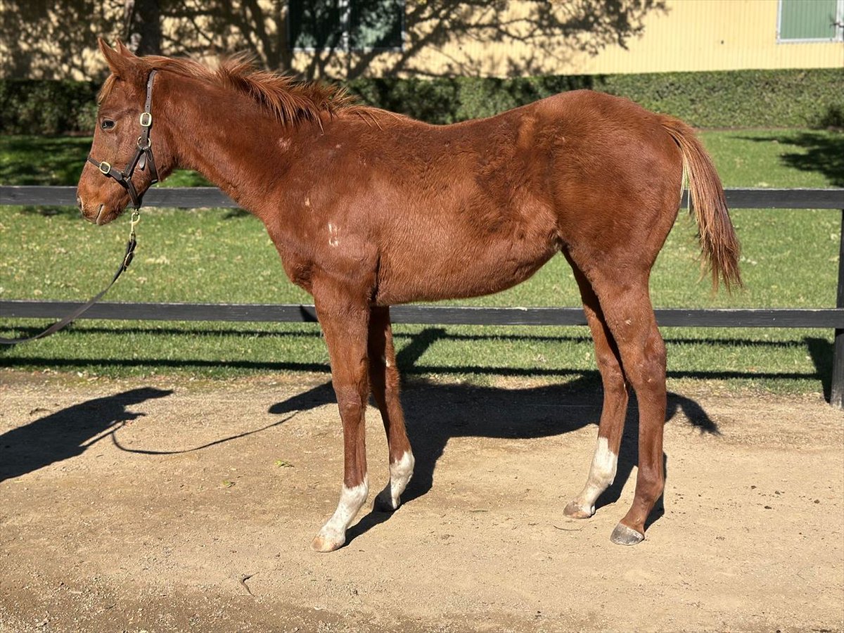 Tara Madgwick tweet media