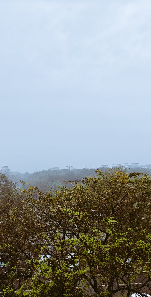 🇮🇳Rohit🇮🇳 tweet media