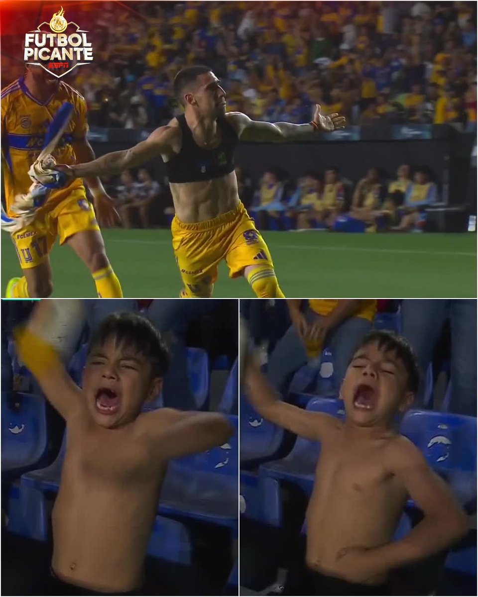 Muchos dicen que solo es futbol...😮‍💨

ESE SENTIMIENTO DE LOGRAR LA CLASIFICACIÓN DE ÚLTIMO MINUTO. 🤩🙌

Así celebró la afición de Tigres el pase a cuartos de final. 🥰