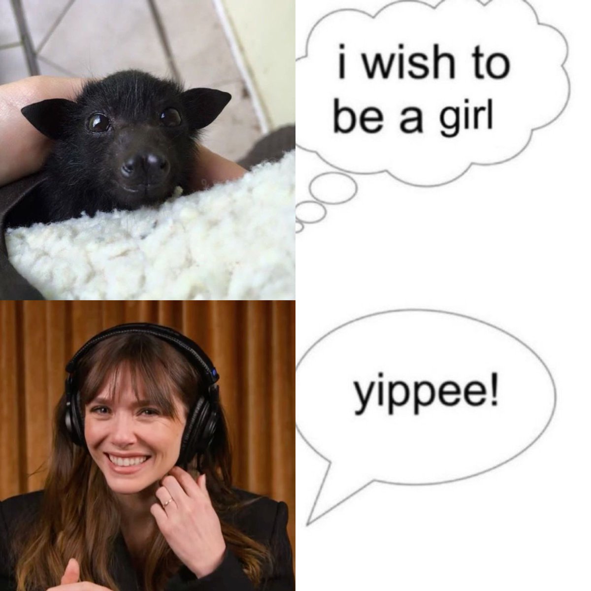 𝗔𝗿𝘄𝗲𝗻’𝘀 𝗩𝗮𝘂𝗹𝘁. tweet media