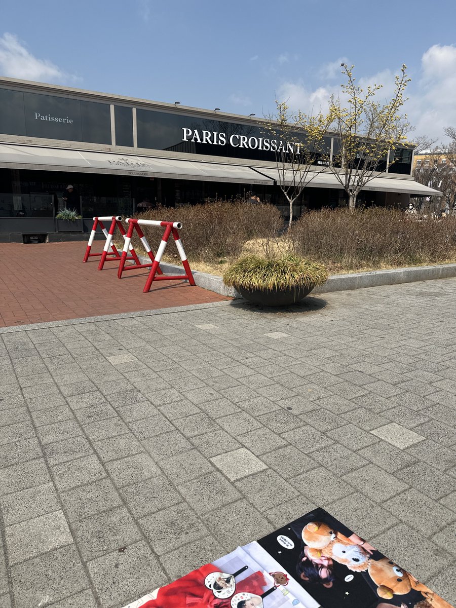 풀썬데이🌻 tweet media