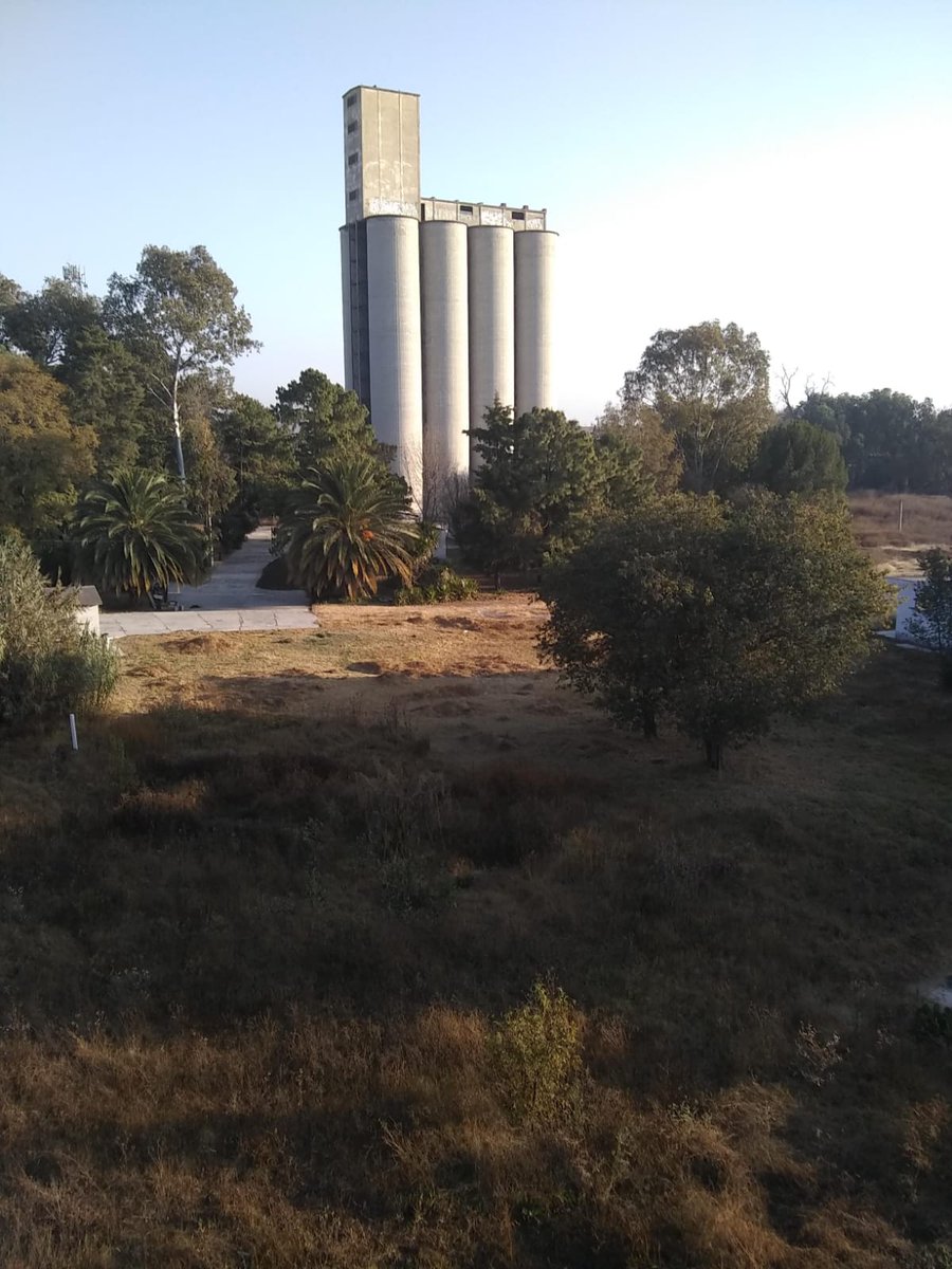 meach___'s tweet photo. Pinches bodegas culeras/en 2021 se veía mejor el lugar (ése fué un buen día 🥵🥵) https://t.co/TKfs6B8oqR