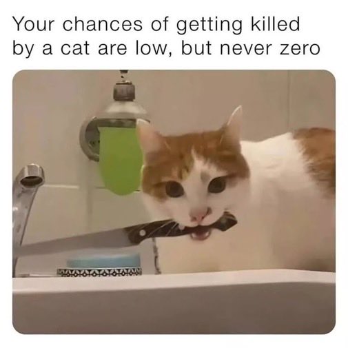 Flashman tweet media