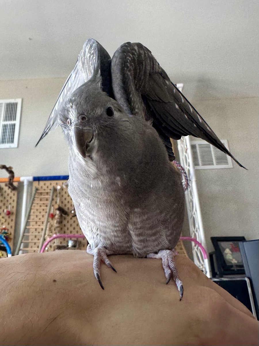 Mike Sands tweet media