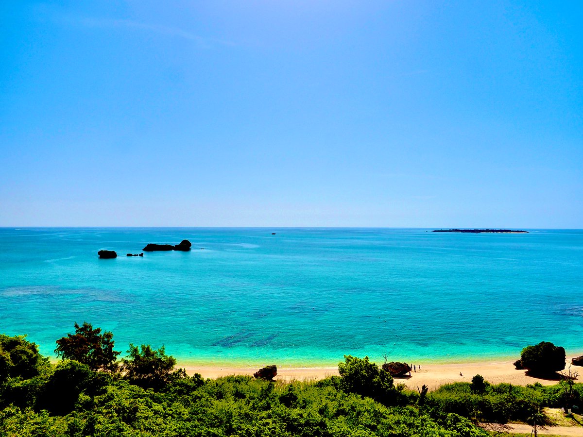 Nature Sounds Japan tweet media