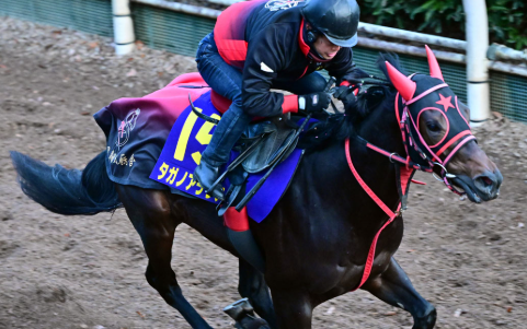 予想家ナツ🐴🇹🇭🇵🇭🇰🇭🇰🇷 tweet media