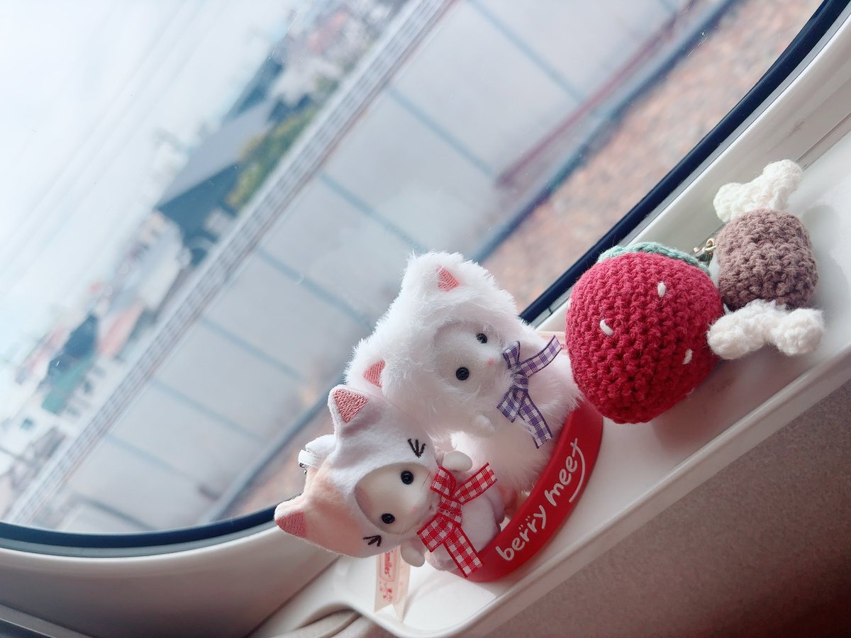 せりな tweet media