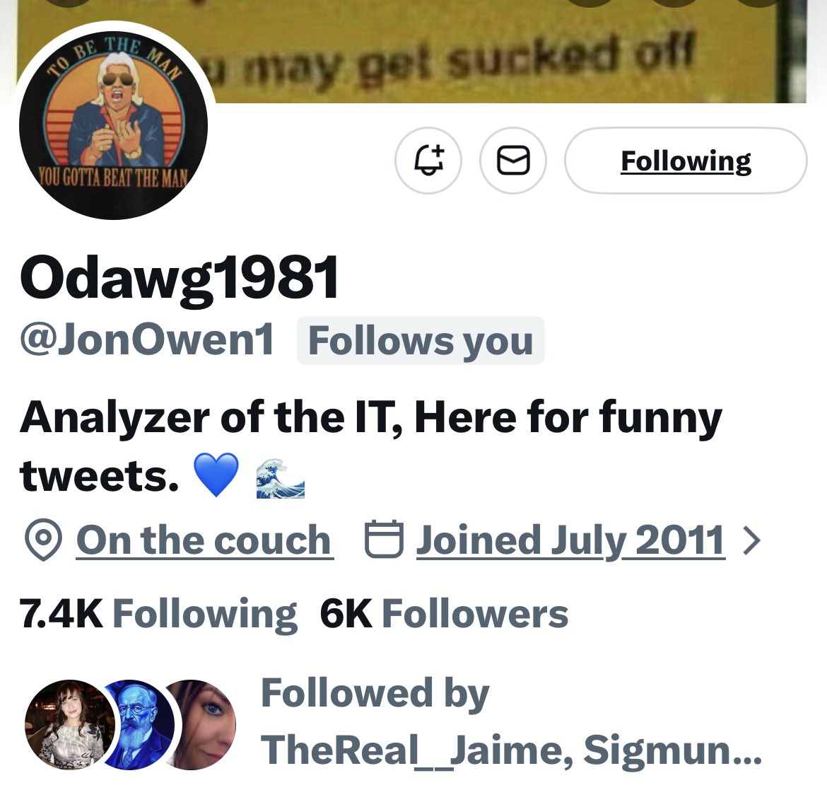 Turquoise Cat tweet media