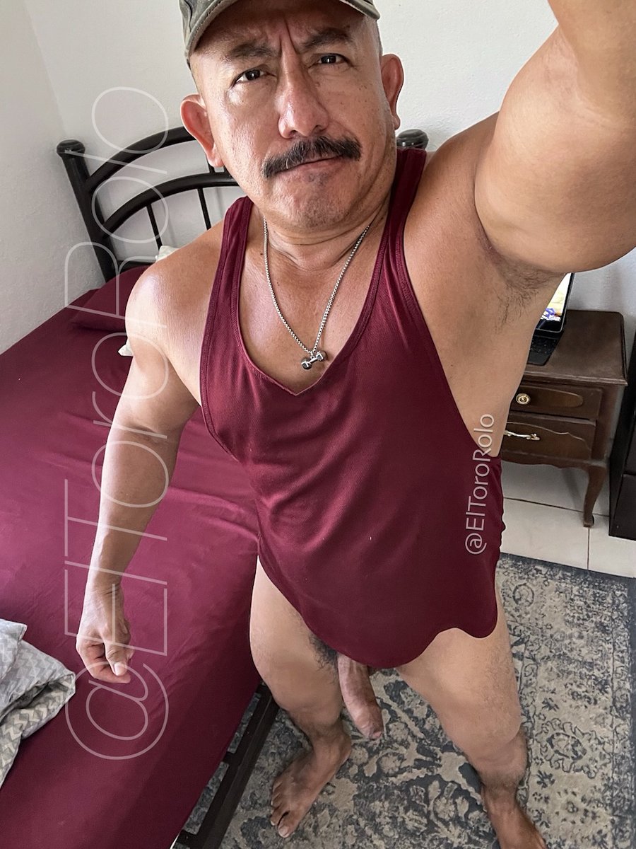 El Toro Rolo tweet media