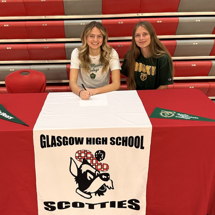 Glasgow Scotties tweet media