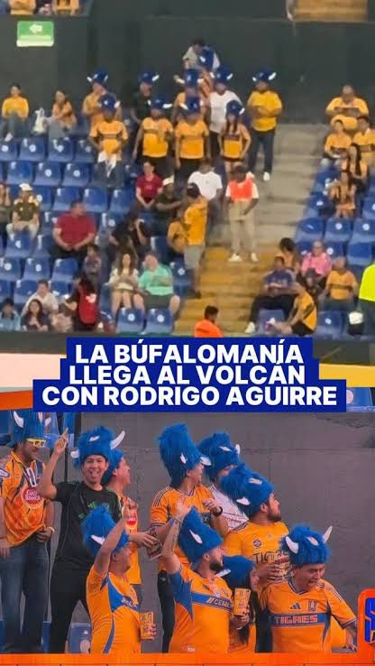 Arsenal Mexico 🇲🇽 tweet media