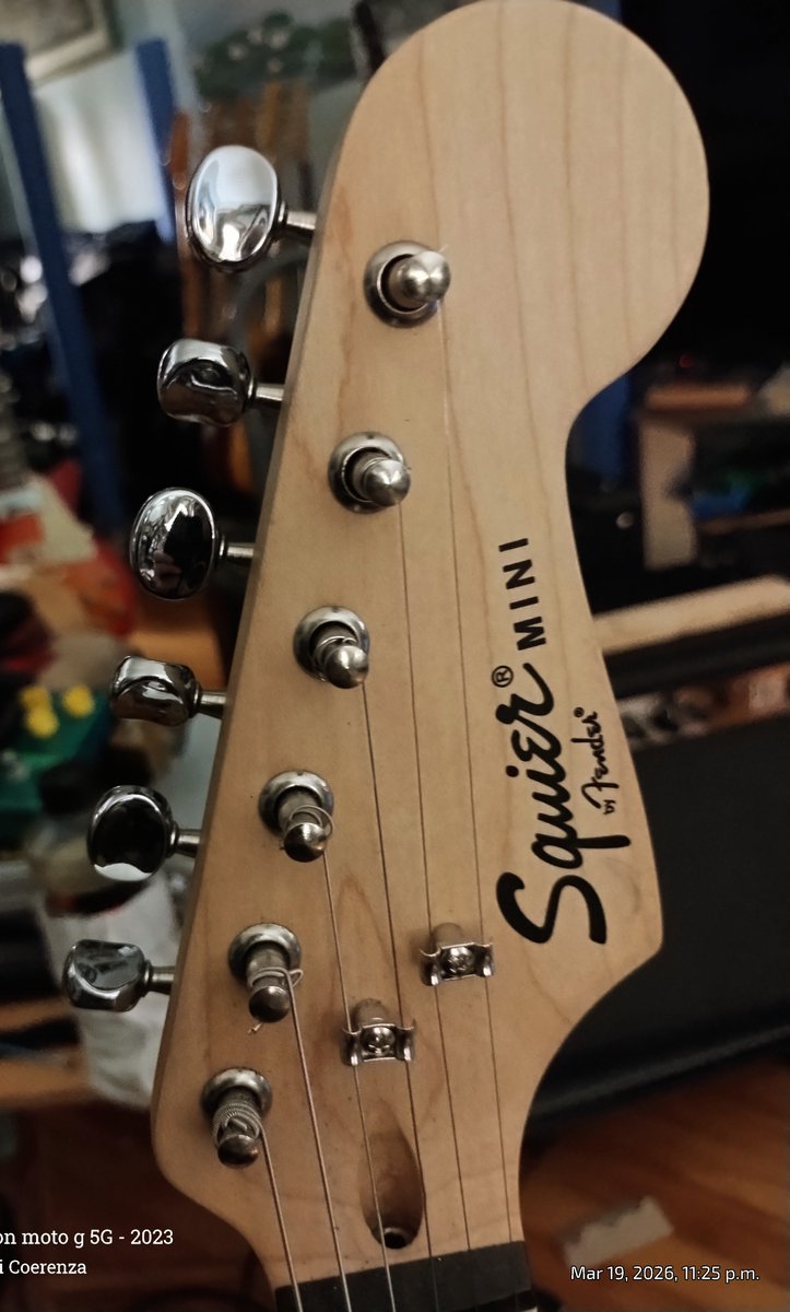 Napoli Coerenza tweet media