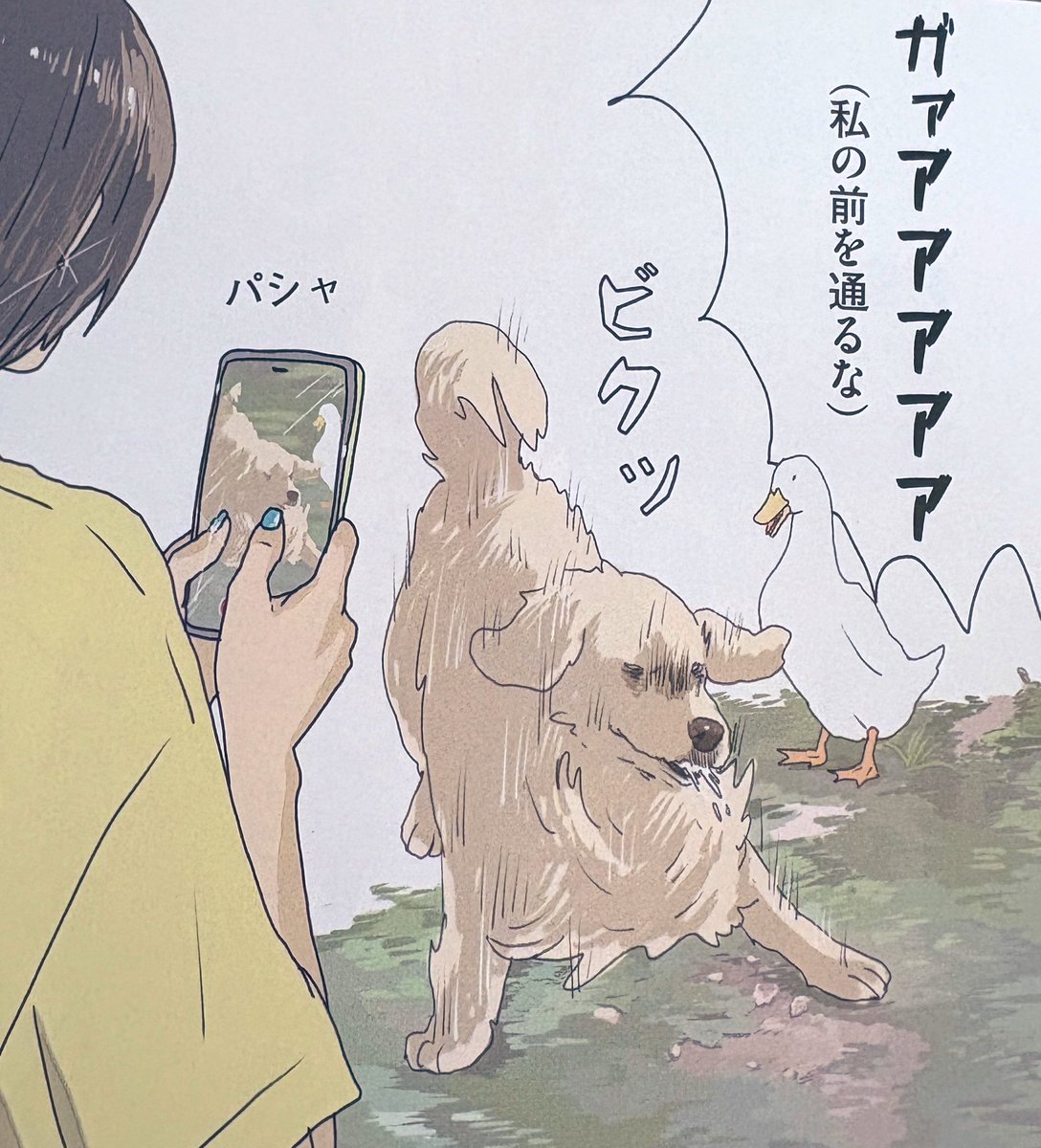 理不尽なアヒルです 