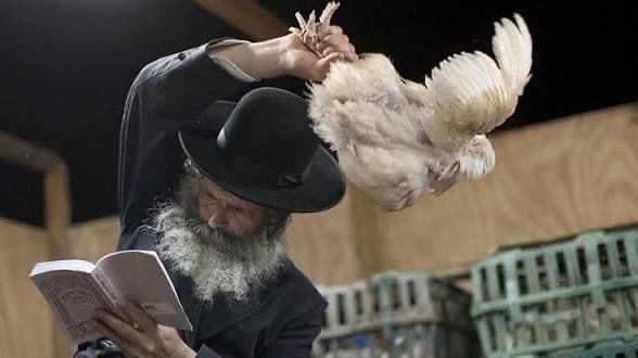 S.B.S 🇶🇦 tweet media