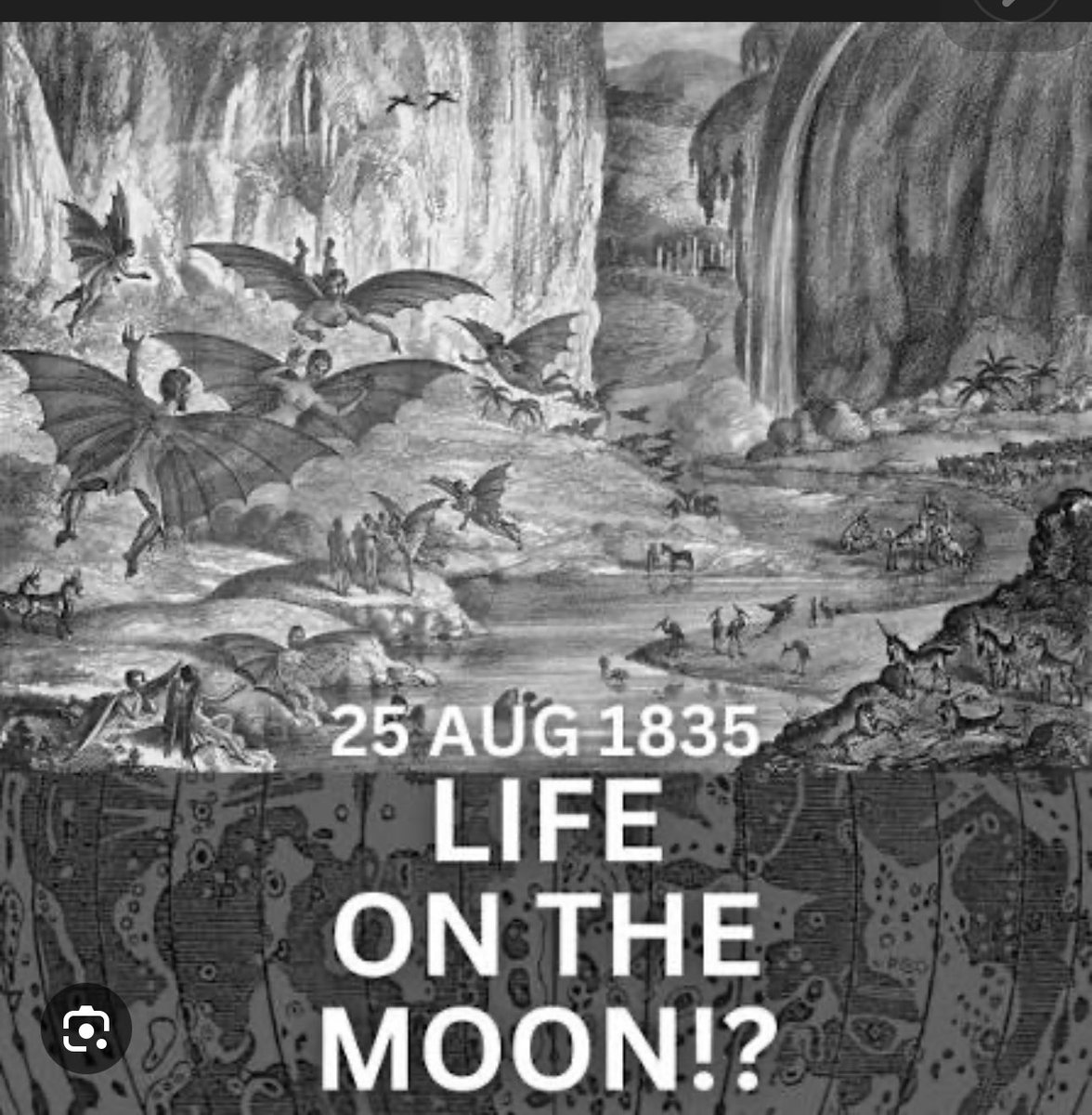 dam blue tweet media