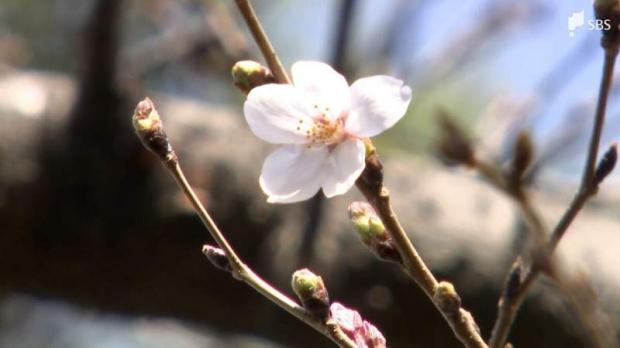 ライブドアニュース tweet media