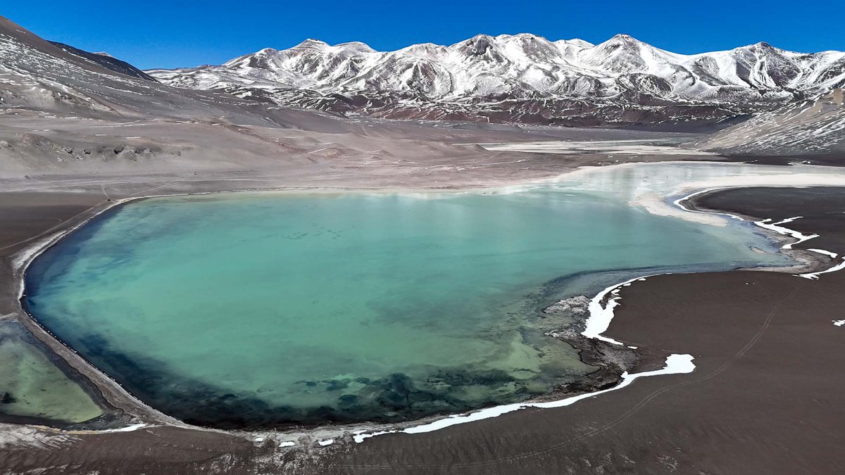 Cristina Dorador Ortiz 🦩 tweet media