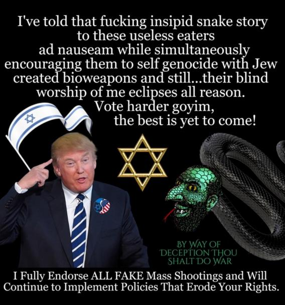 Lady liberty tweet media