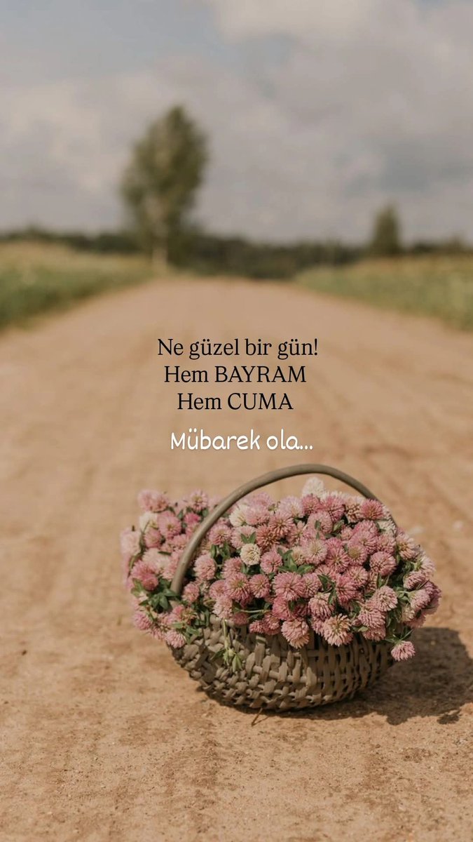 Can Tanem tweet media