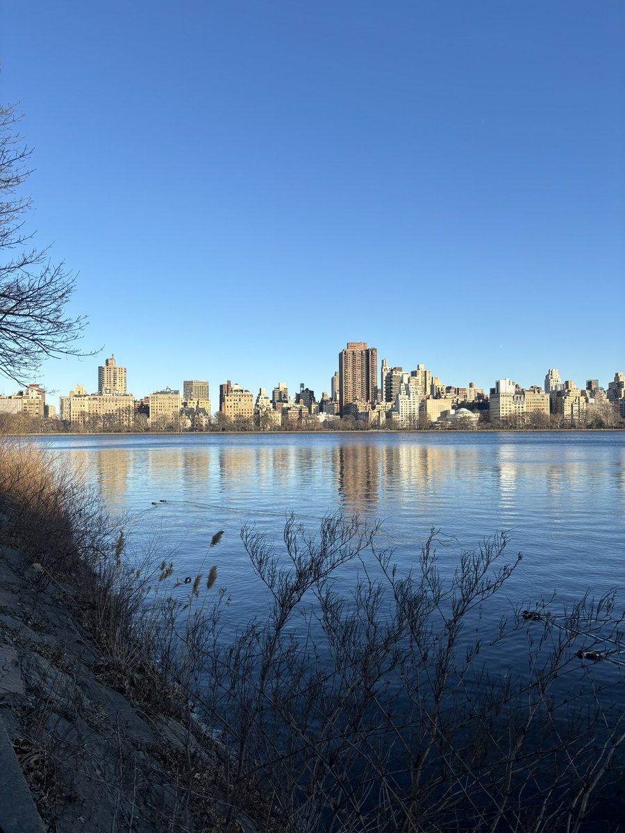 Chip Witley tweet media