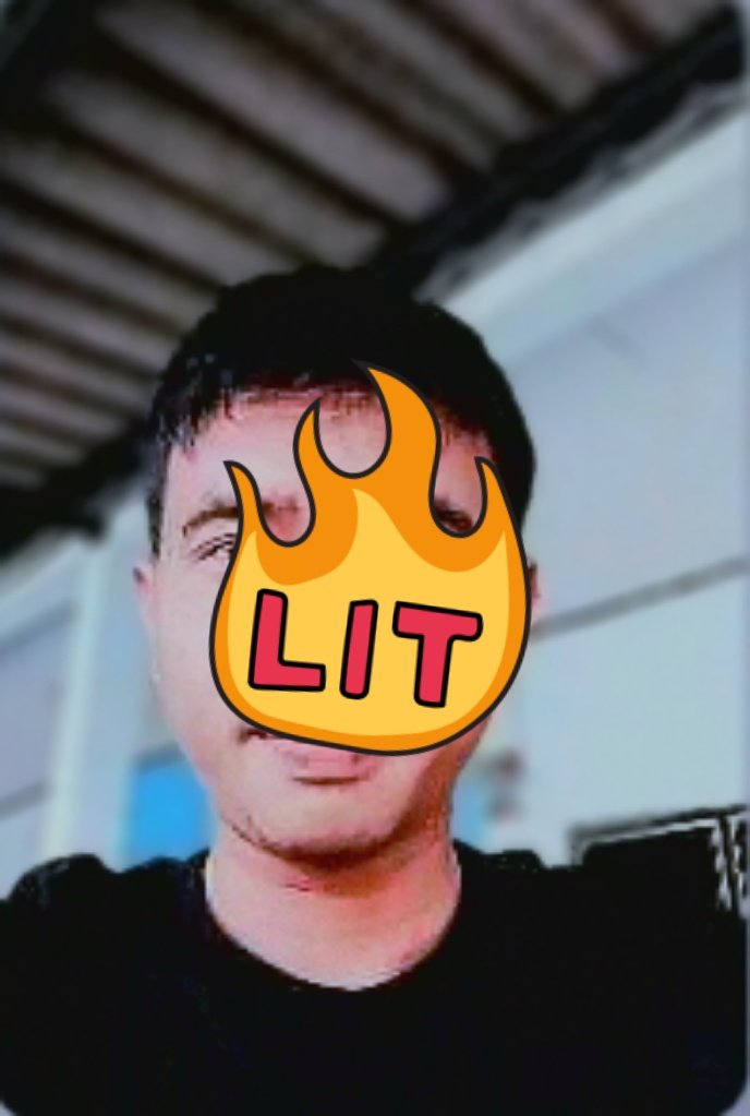 Tiger 🐅 tweet media