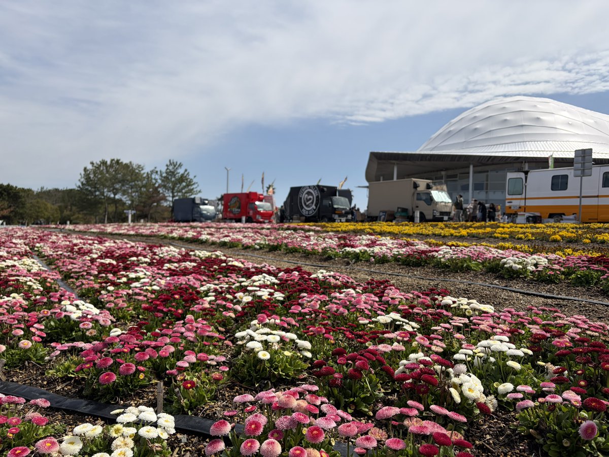 のんのん tweet media