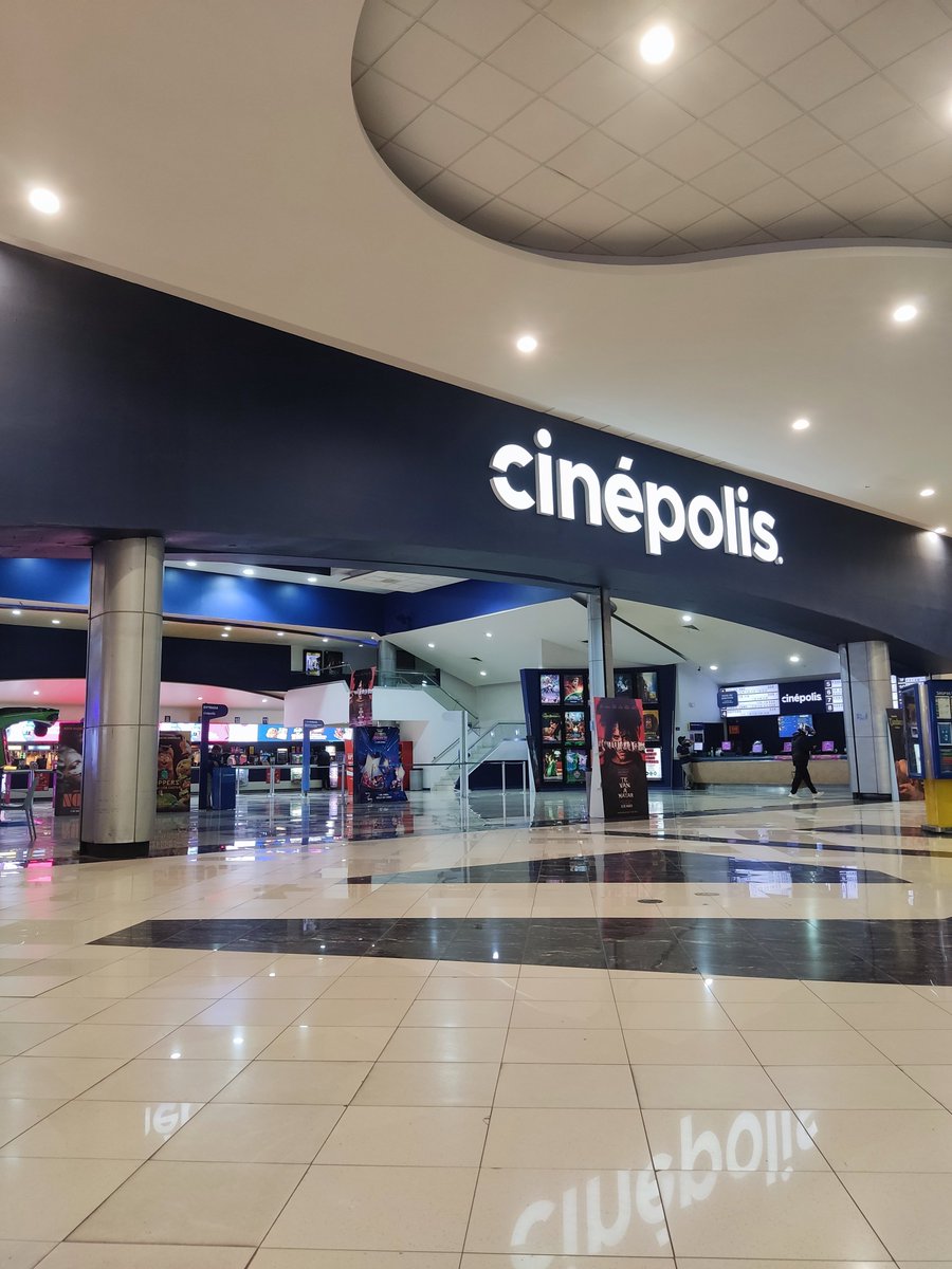 Siempre Gallos 🐦 tweet media