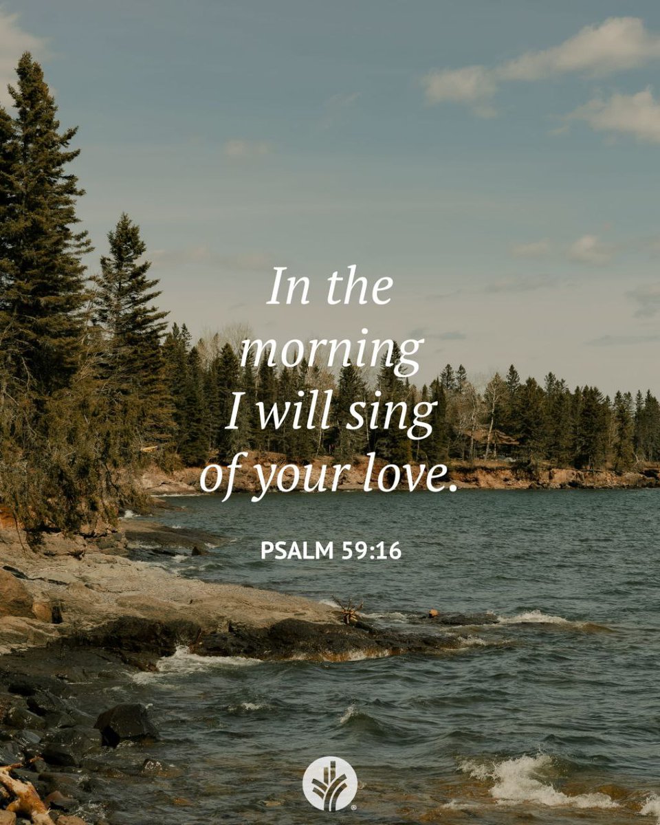 Sam ሳም ⚖️❤️💛💚 ⚖️ tweet media