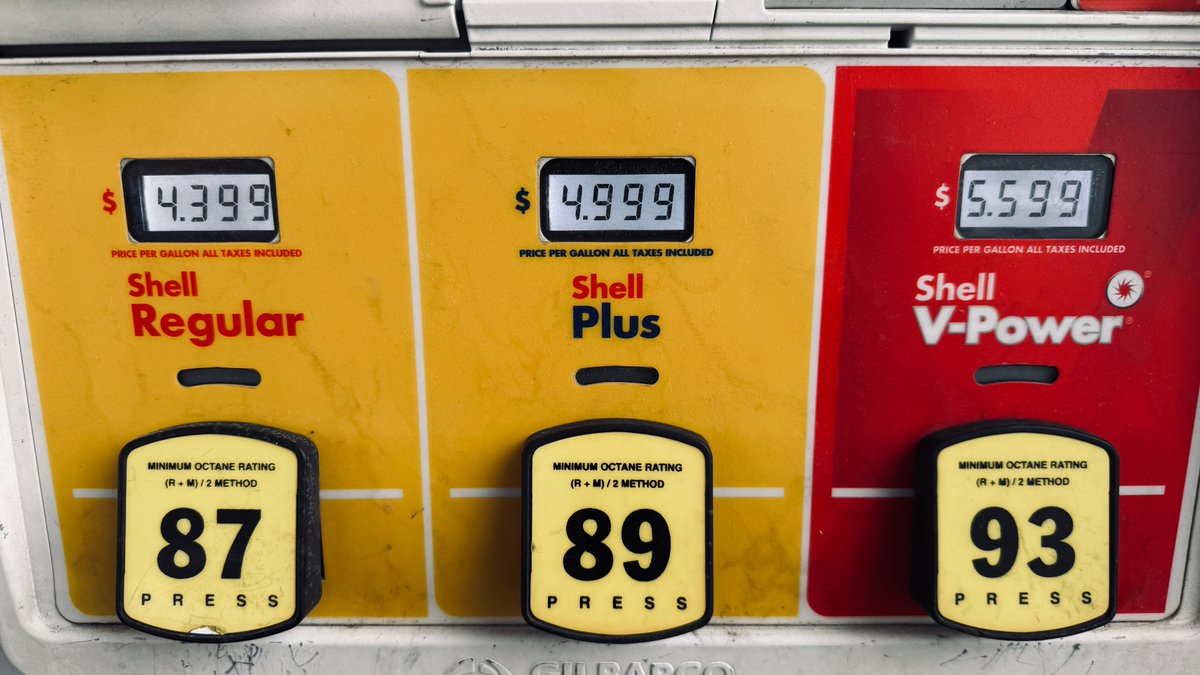 Jimmy Funguy9 tweet media