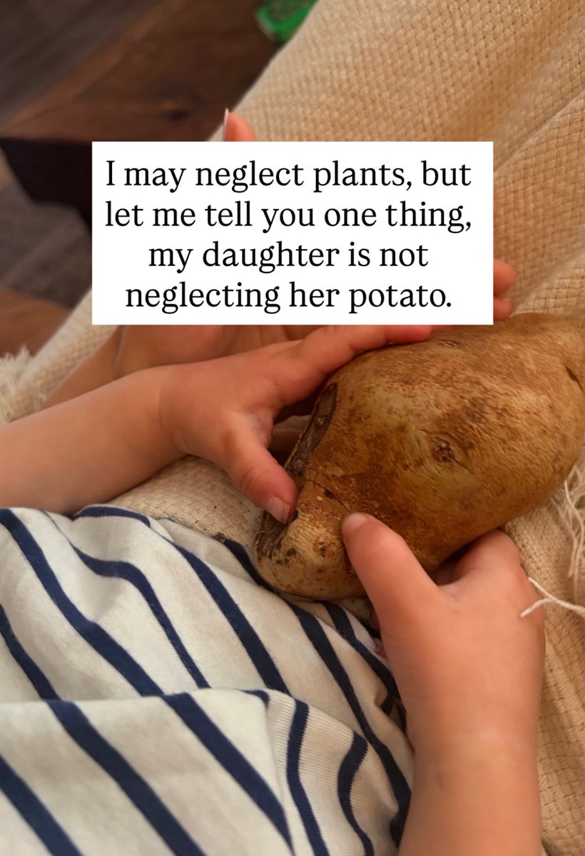 collectiveconsciousness tweet media