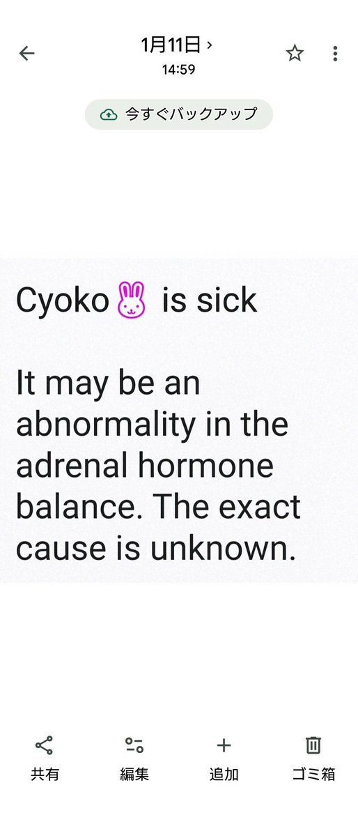 cyoko kinako(うさぎ🐰のチョコちゃん) tweet media