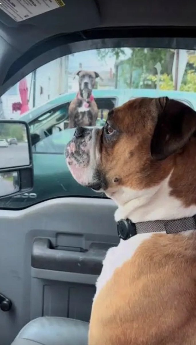 KenHeLive tweet media