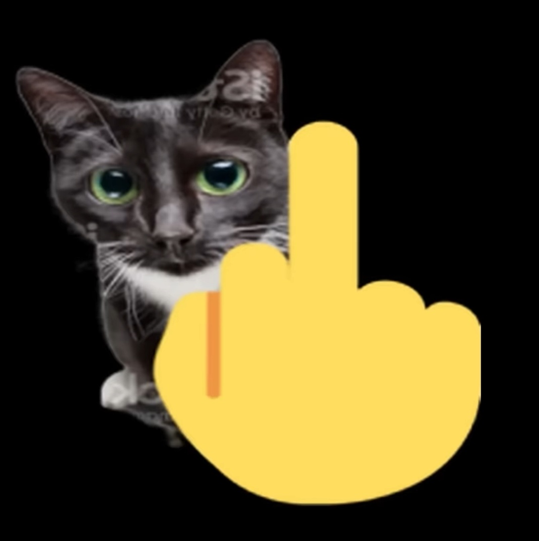 blob boy tweet media