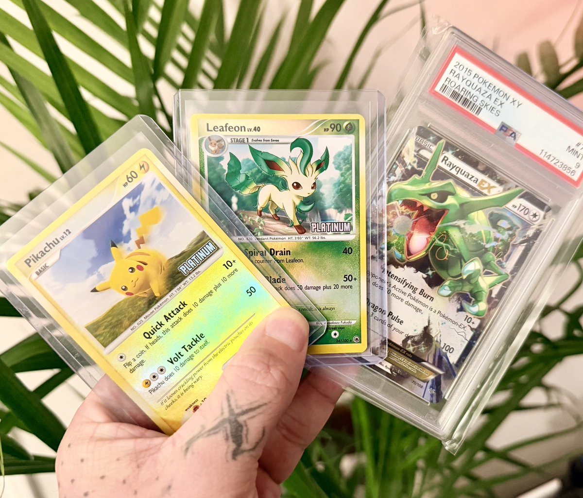 Ex Blood | Collin 🥀 tweet media