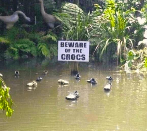 AmericaReal tweet media