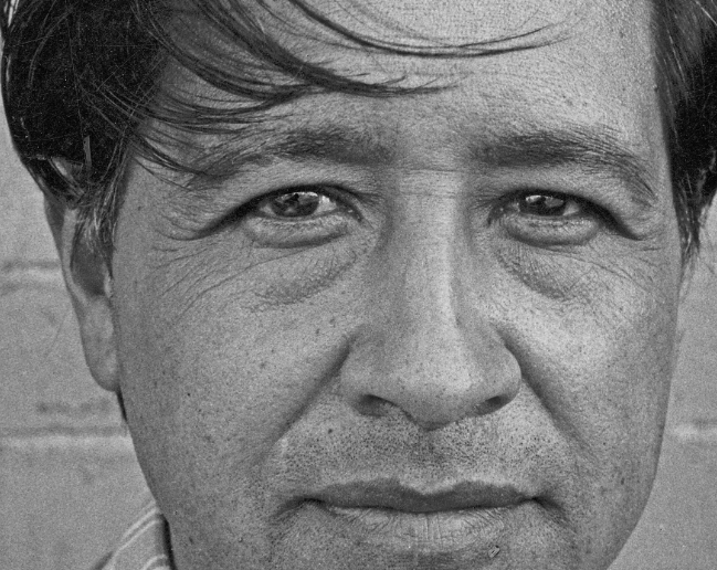 Ranting Monkey tweet media