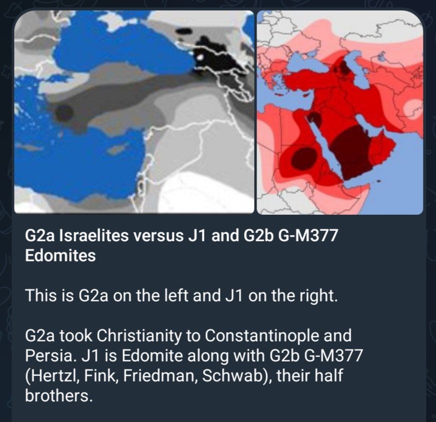 Just a dude tweet media