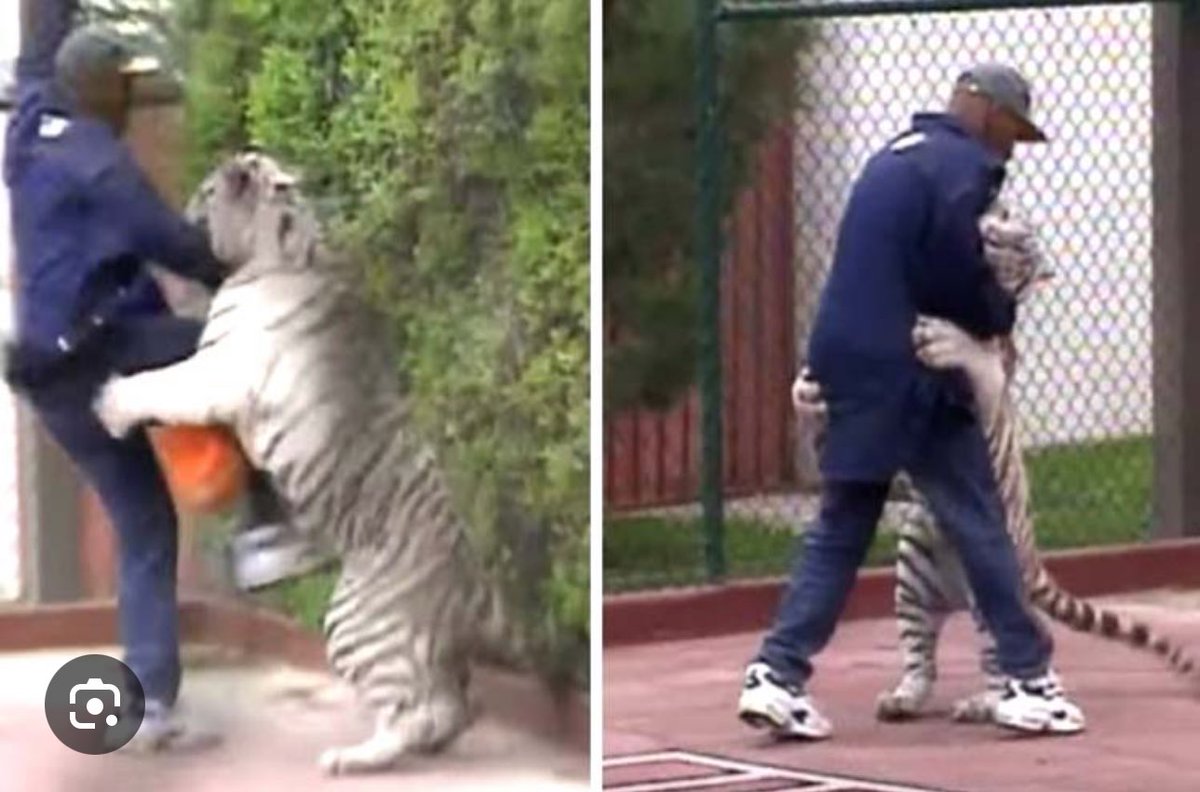 Football Fandom tweet media