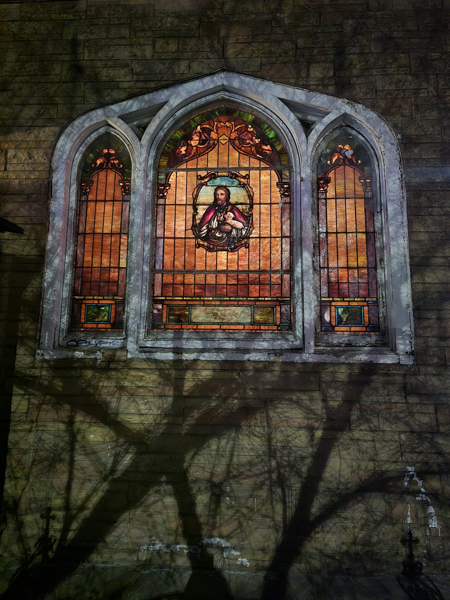 the human sadiepede 2 tweet media