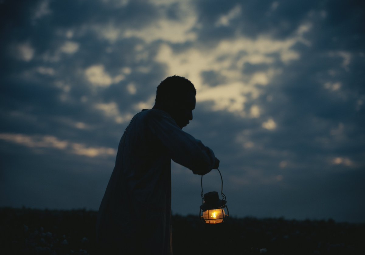 Riley Coyote tweet media