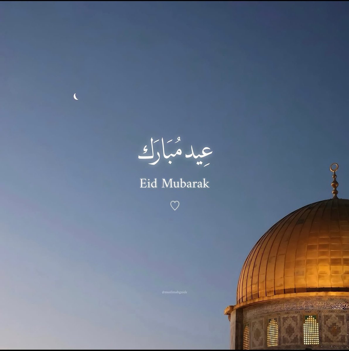 RapsShowYo tweet media