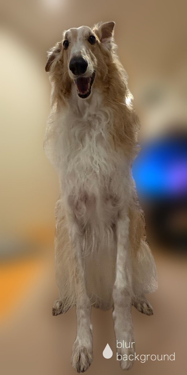 👑💎Roen💎👑 tweet media