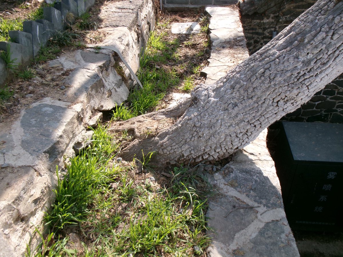 방울잉... tweet media