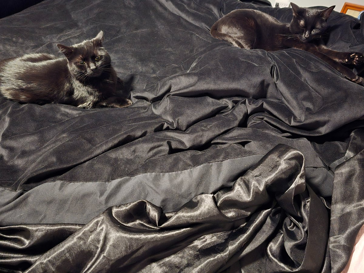 vasectomy corporation tweet media