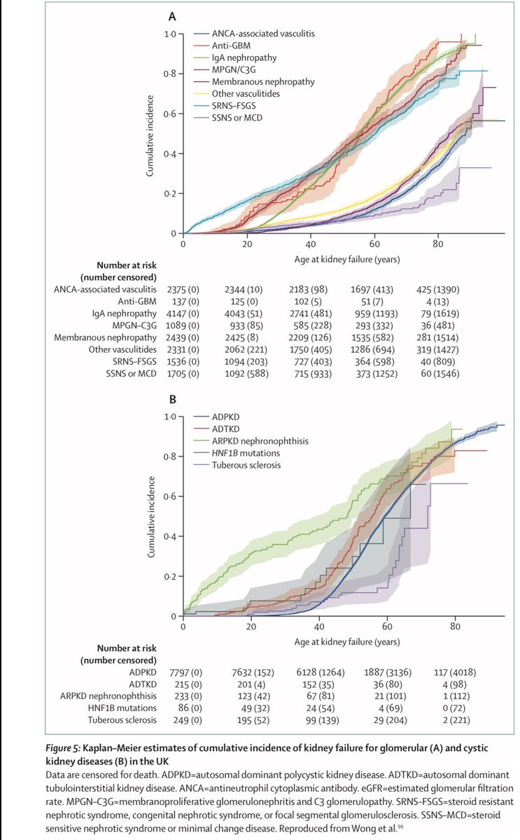 Dr. Manuel Aguirre tweet media