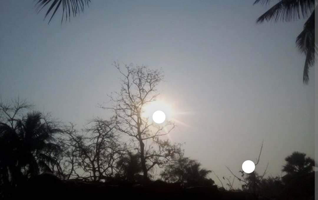 Shanto king tweet media