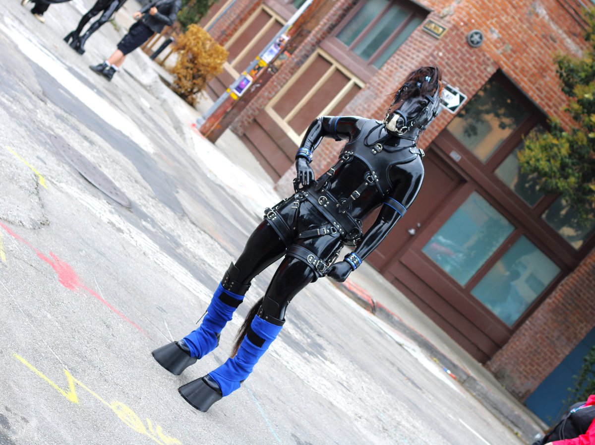 Stallione Colton tweet media