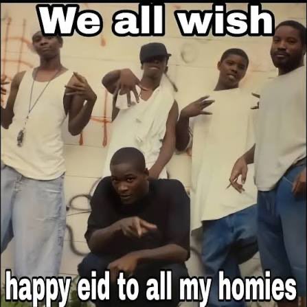 sameel arif tweet media