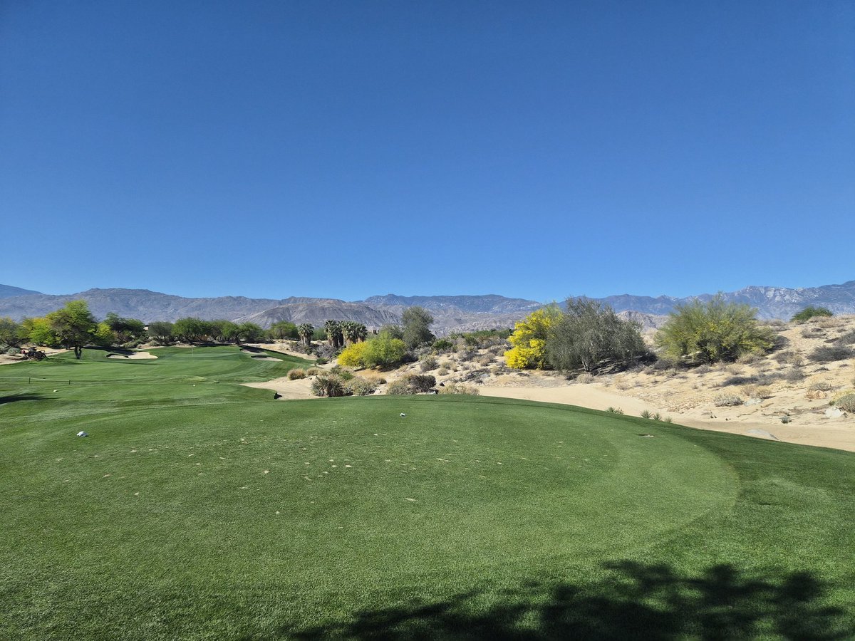 Lila Greene tweet media