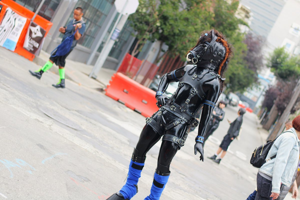 Stallione Colton tweet media